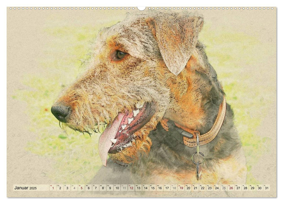 Airedale Terrier 2025 (CALVENDO Premium Wandkalender 2025)