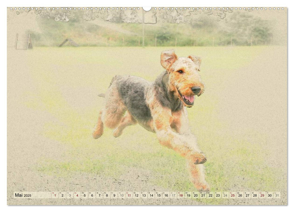 Airedale Terrier 2025 (CALVENDO Premium Wandkalender 2025)