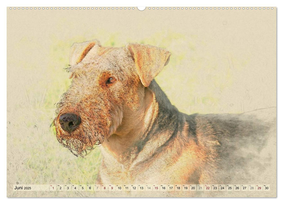 Airedale Terrier 2025 (CALVENDO Premium Wandkalender 2025)