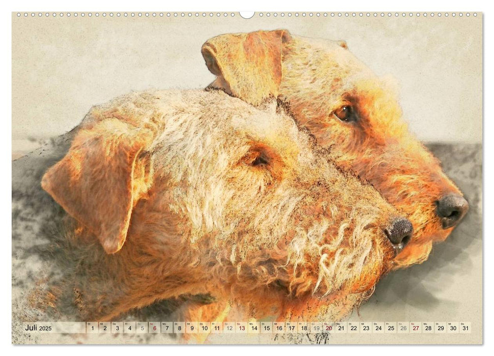 Airedale Terrier 2025 (CALVENDO Premium Wandkalender 2025)