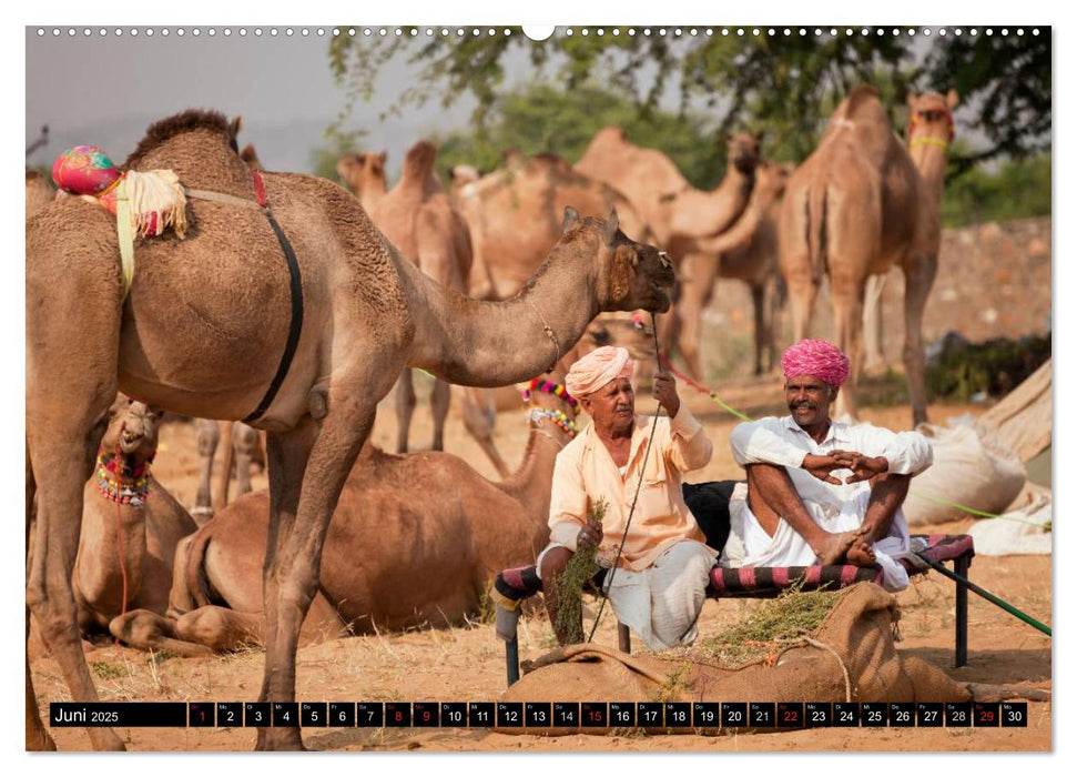 Rajasthan, Indien - Pushkar Mela (CALVENDO Premium Wandkalender 2025)