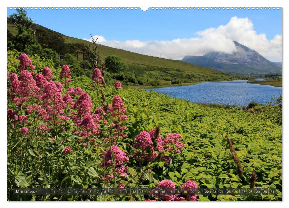 IRLAND Traumziel im Atlantik (CALVENDO Premium Wandkalender 2025)