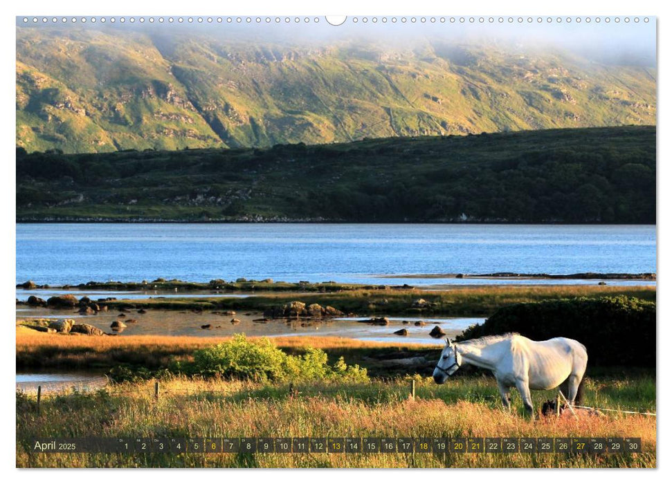 IRLAND Traumziel im Atlantik (CALVENDO Premium Wandkalender 2025)