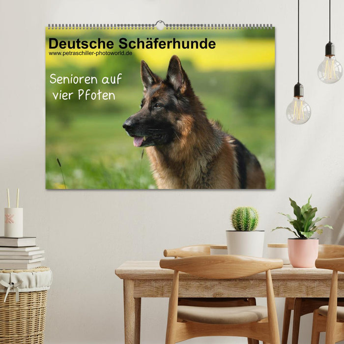 Deutsche Schäferhunde - Senioren auf vier Pfoten (CALVENDO Wandkalender 2025)