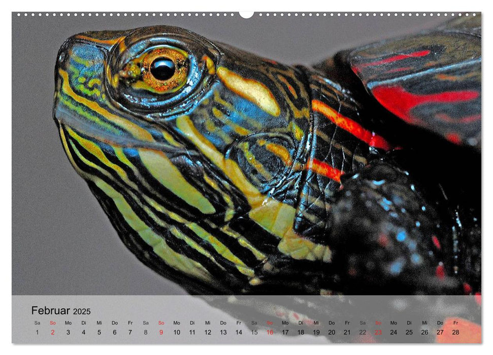 Reptilien Schlangen, Echsen und Co. (CALVENDO Wandkalender 2025)