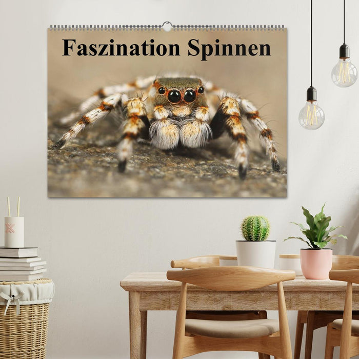 Faszination Spinnen (CALVENDO Wandkalender 2025)