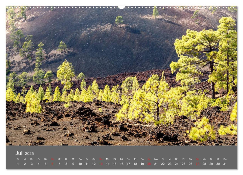 Teneriffa - Lichtstimmungen (CALVENDO Premium Wandkalender 2025)