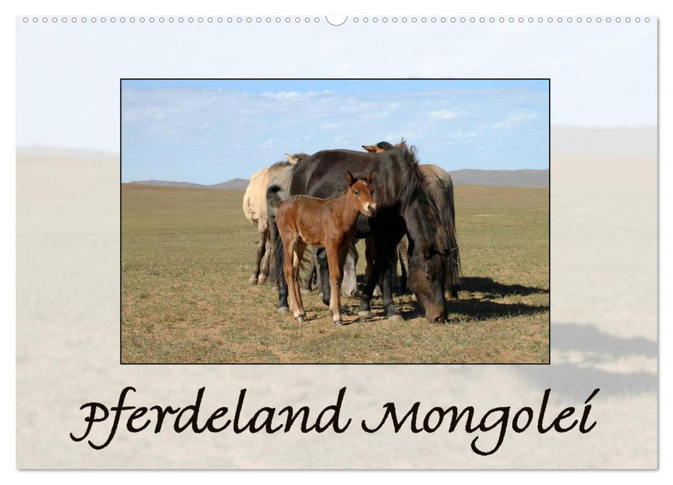 Pferdeland Mongolei (CALVENDO Wandkalender 2025)