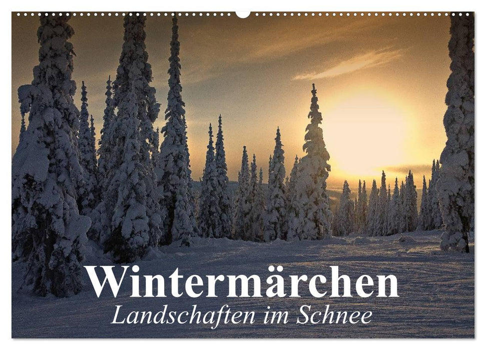 Wintermärchen Landschaften im Schnee (CALVENDO Wandkalender 2025)