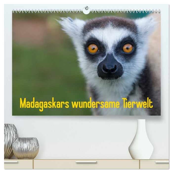 Madagaskars wundersame Tierwelt (CALVENDO Premium Wandkalender 2025)