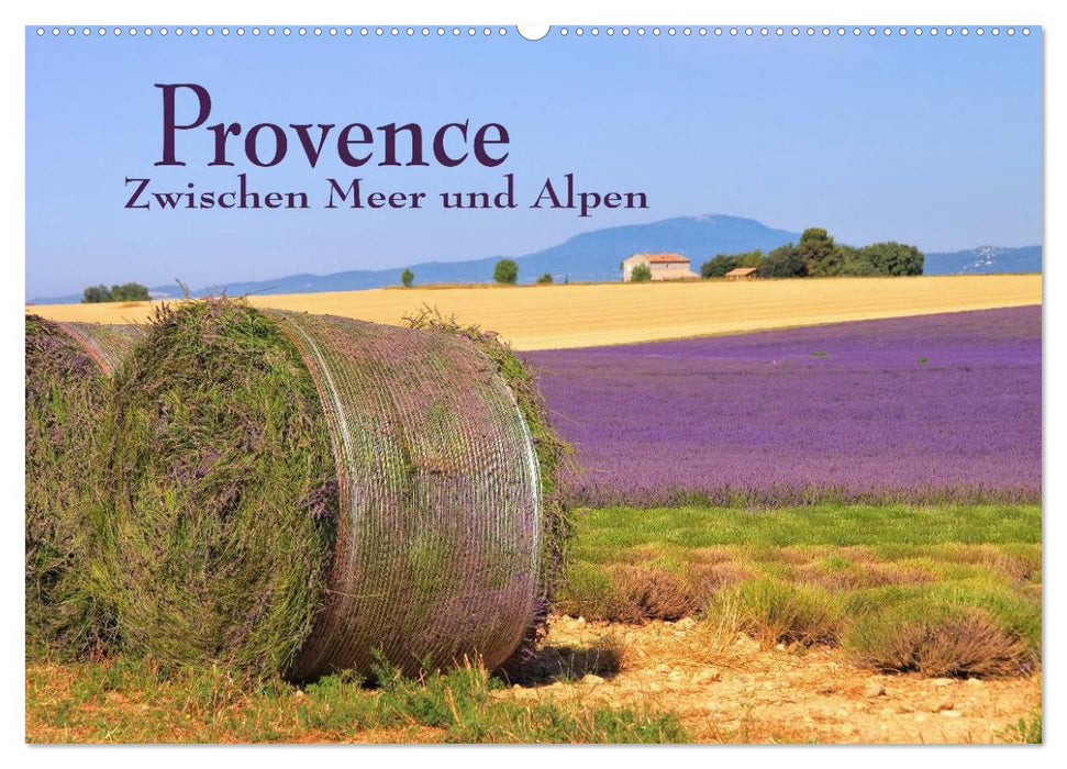 Provence - Zwischen Meer und Alpen (CALVENDO Wandkalender 2025)