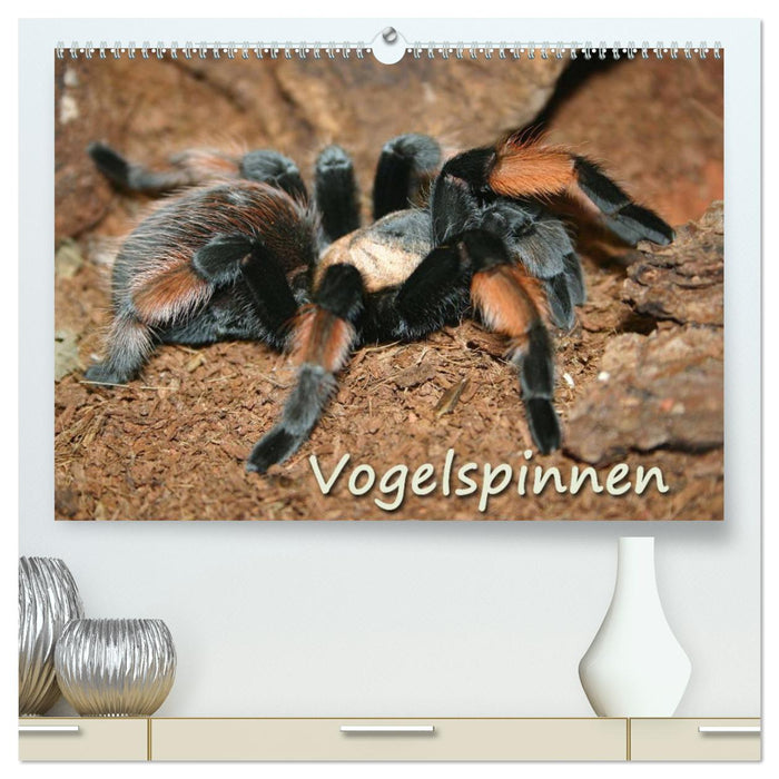 Vogelspinnen (CALVENDO Premium Wandkalender 2025)