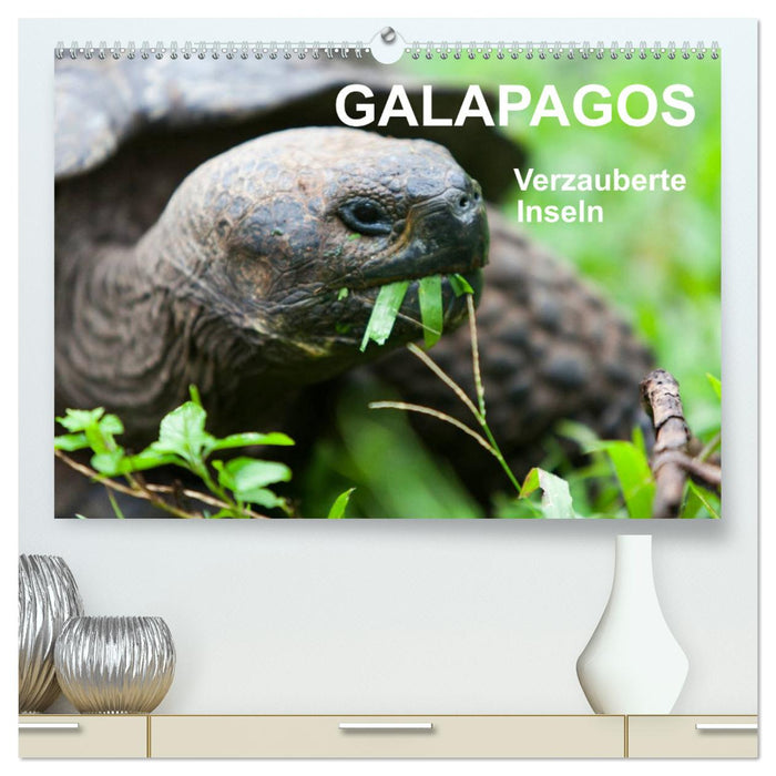 Galapagos. Verzauberte Inseln (CALVENDO Premium Wandkalender 2025)