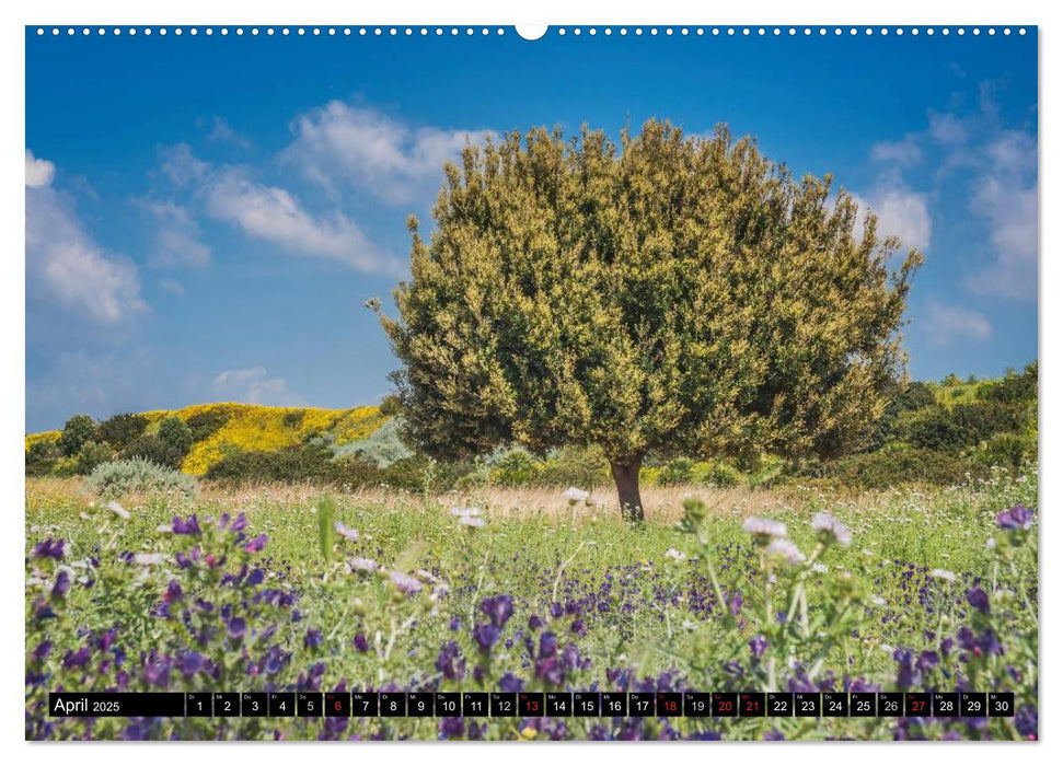 Sizilien im Frühling (CALVENDO Wandkalender 2025)