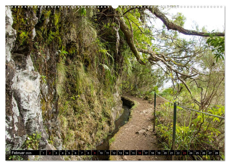 Madeiras Levada-Wanderungen (CALVENDO Premium Wandkalender 2025)