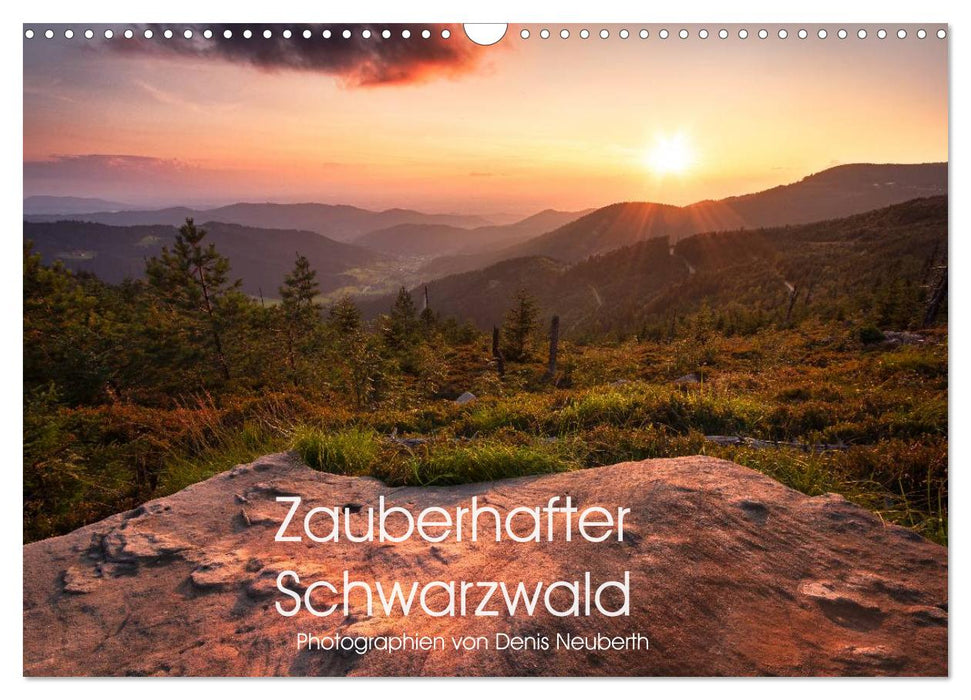 Zauberhafter Schwarzwald (CALVENDO Wandkalender 2025)