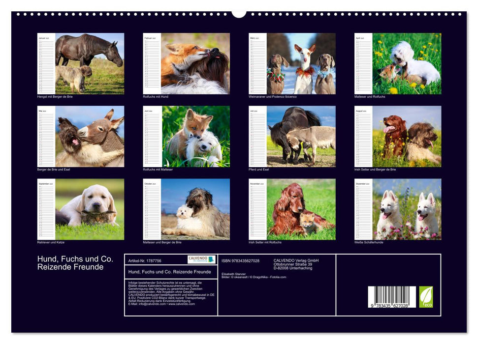 Hund, Fuchs und Co. Reizende Freunde (CALVENDO Premium Wandkalender 2025)