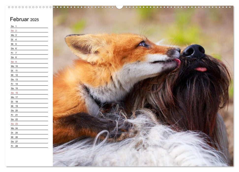Hund, Fuchs und Co. Reizende Freunde (CALVENDO Premium Wandkalender 2025)