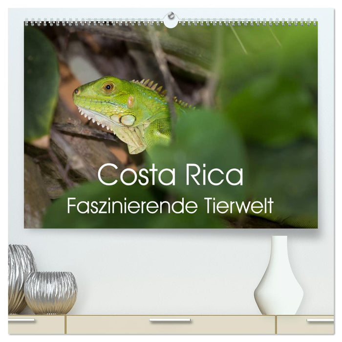 Costa Rica. Faszinierende Tierwelt (CALVENDO Premium Wandkalender 2025)