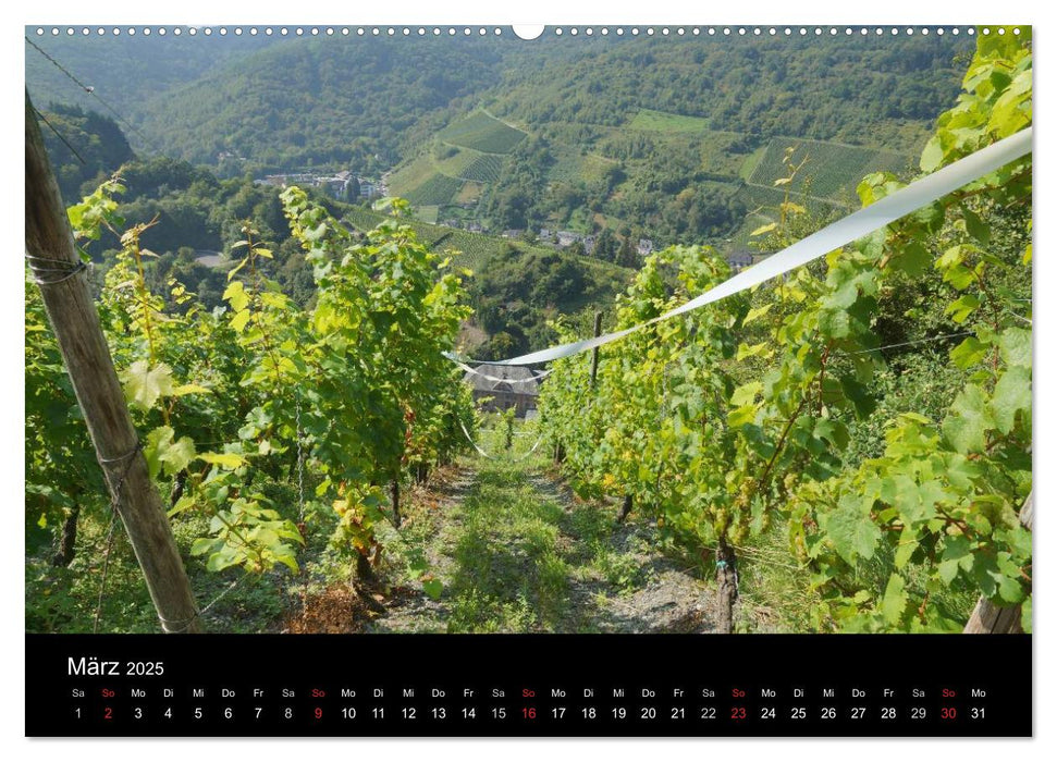 Schöne Mosel (CALVENDO Premium Wandkalender 2025)