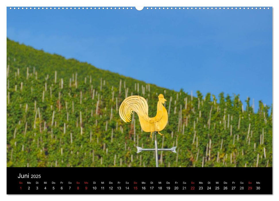 Schöne Mosel (CALVENDO Premium Wandkalender 2025)