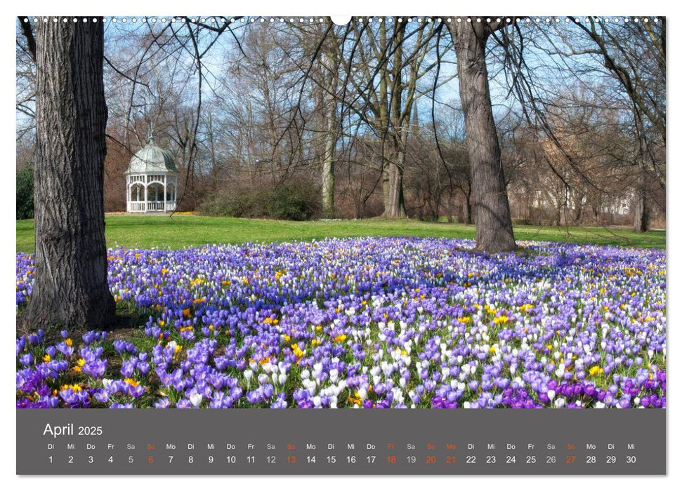 Leipzig - Parks und Landschaften (CALVENDO Premium Wandkalender 2025)