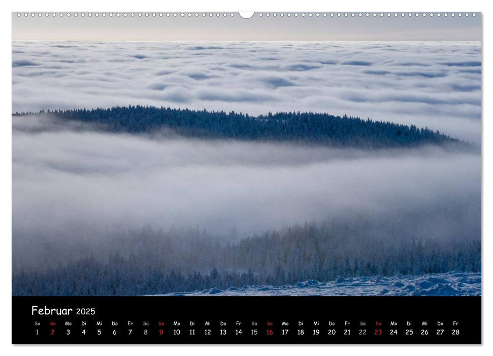 Faszination Harz 2025 (CALVENDO Wandkalender 2025)