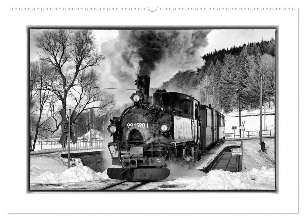 Die Preßnitztalbahn (CALVENDO Premium Wandkalender 2025)