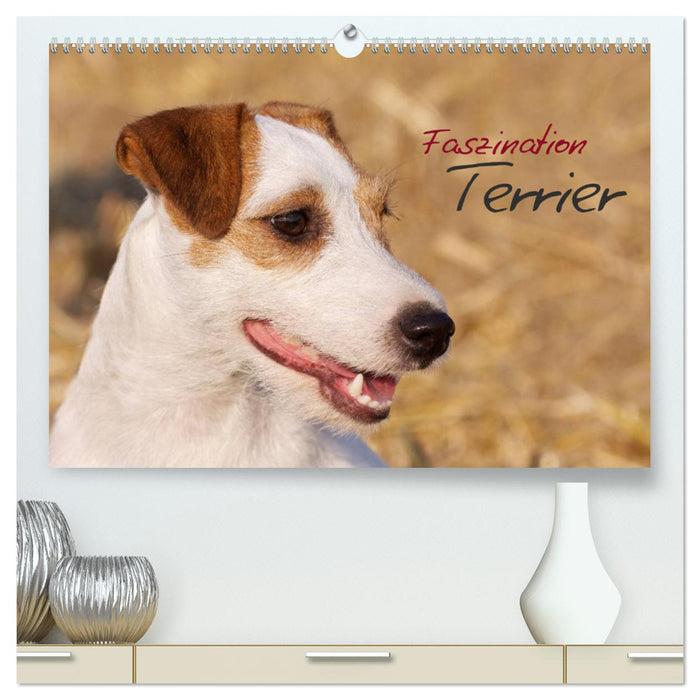 Faszination Terrier (CALVENDO Premium Wandkalender 2025)