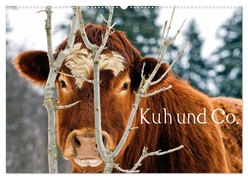 Kuh und Co. (CALVENDO Wandkalender 2025)