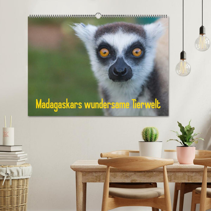 Madagaskars wundersame Tierwelt (CALVENDO Wandkalender 2025)