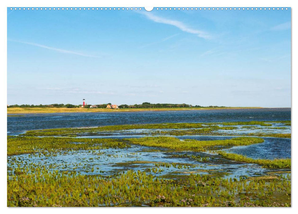 Wangerooge – Eine Perle in der Nordsee. (CALVENDO Premium Wandkalender 2025)