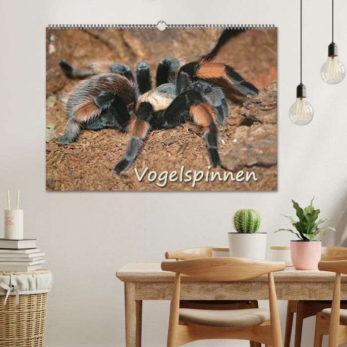 Vogelspinnen (CALVENDO Wandkalender 2025)