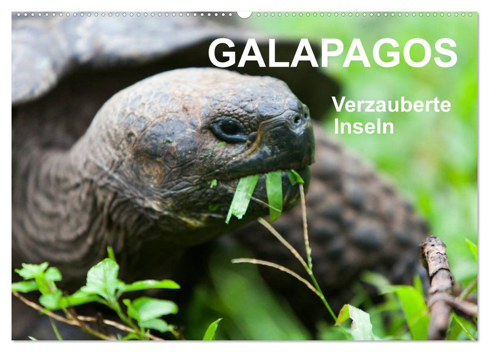 Galapagos. Verzauberte Inseln (CALVENDO Wandkalender 2025)