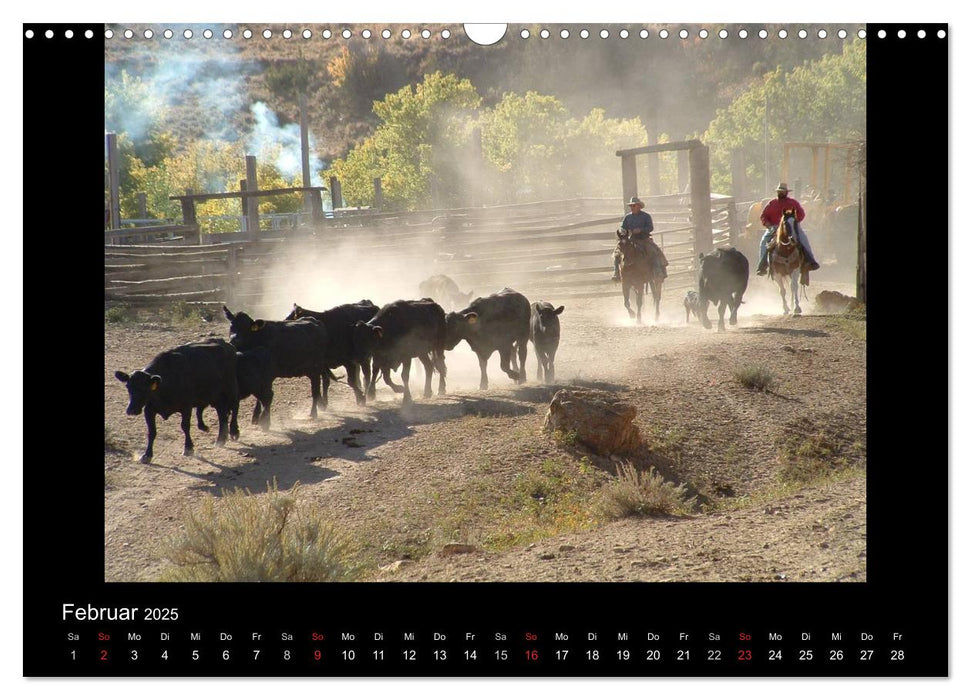 City Slickers - Ranchurlaub (CALVENDO Wandkalender 2025)