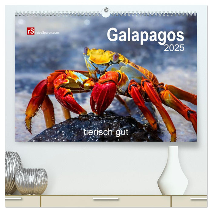 Galapagos 2025 tierisch gut (CALVENDO Premium Wandkalender 2025)