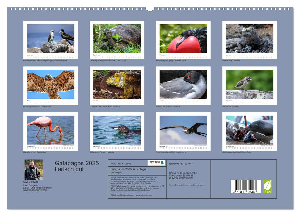 Galapagos 2025 tierisch gut (CALVENDO Premium Wandkalender 2025)