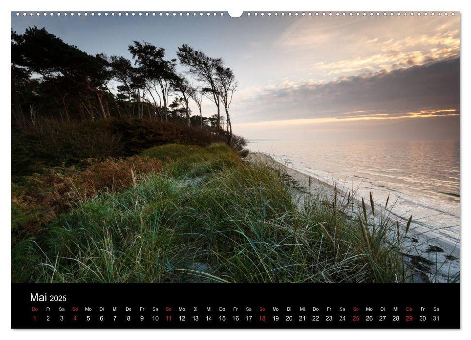 NATUR PUR - PURE NATURE (CALVENDO Premium Wandkalender 2025)