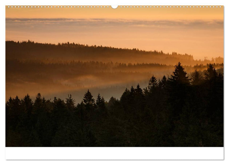 NATUR PUR - PURE NATURE (CALVENDO Premium Wandkalender 2025)