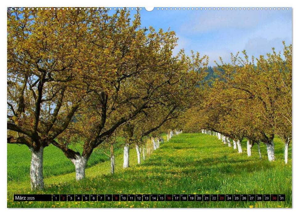 Die Wachau - An der Donau zwischen Melk und Krems (CALVENDO Wandkalender 2025)