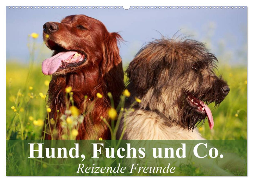 Hund, Fuchs und Co. Reizende Freunde (CALVENDO Wandkalender 2025)