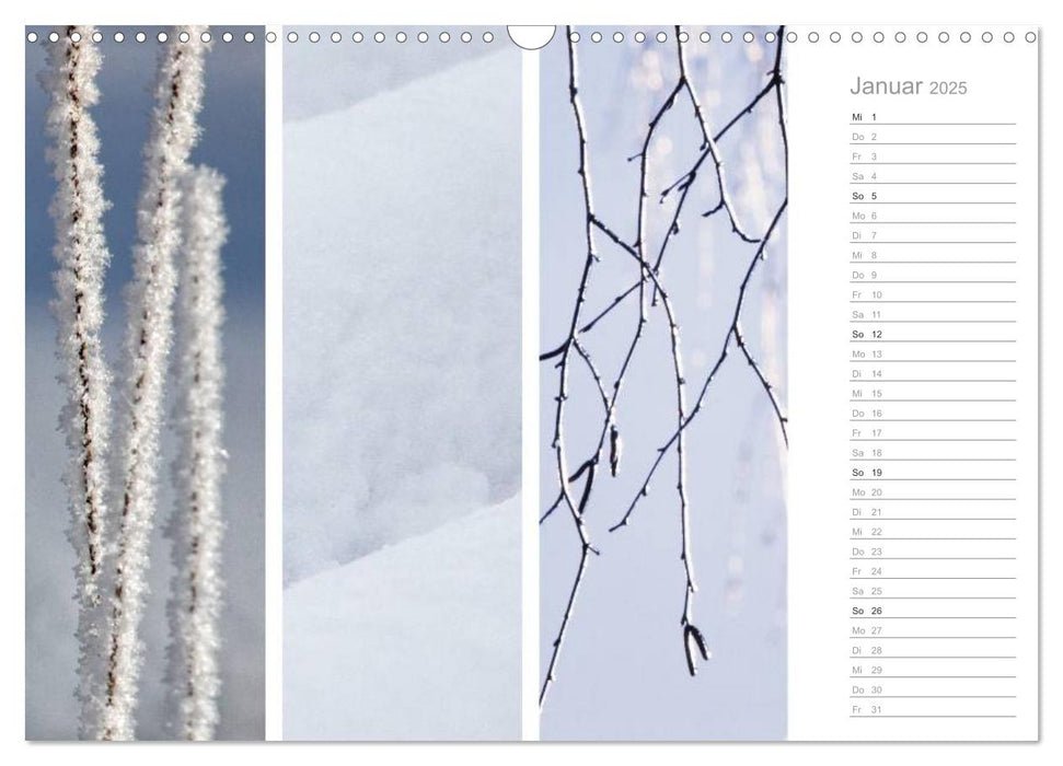 Natürlicher Dreiklang (CALVENDO Wandkalender 2025)