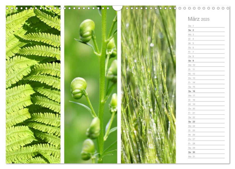 Natürlicher Dreiklang (CALVENDO Wandkalender 2025)
