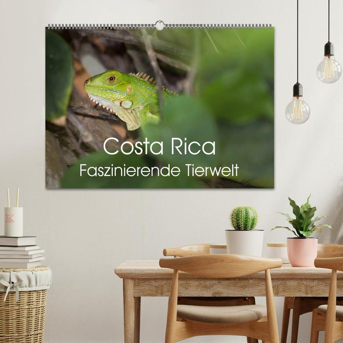 Costa Rica. Faszinierende Tierwelt (CALVENDO Wandkalender 2025)