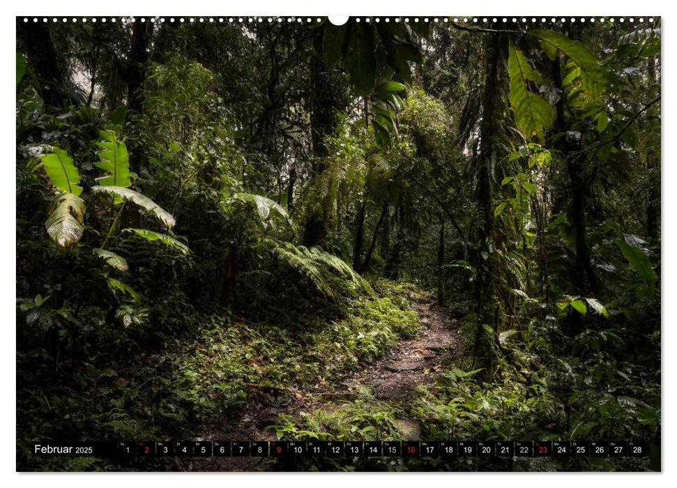 COSTA RICA Farben und Licht (CALVENDO Wandkalender 2025)