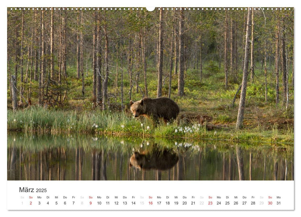 Naturparadies Finnland (CALVENDO Wandkalender 2025)