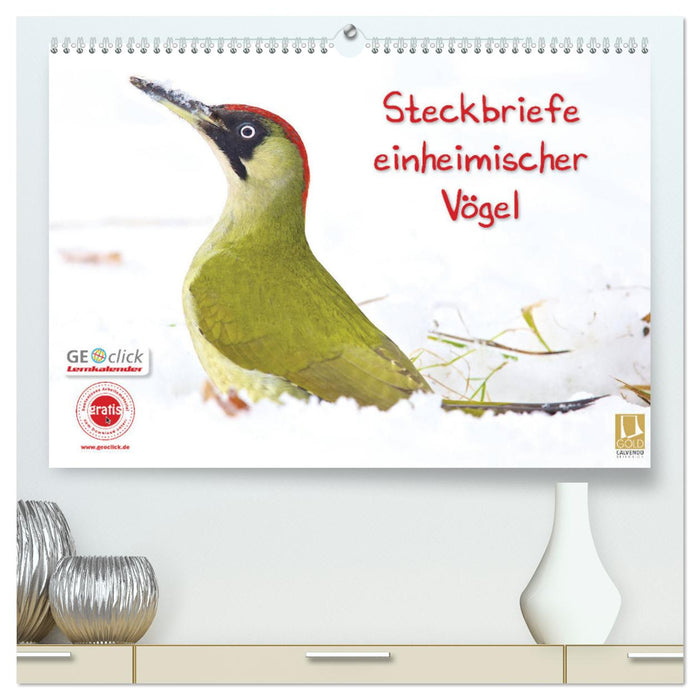 Steckbriefe einheimischer Vögel (CALVENDO Premium Wandkalender 2025)