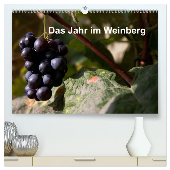 Das Jahr im Weinberg (CALVENDO Premium Wandkalender 2025)