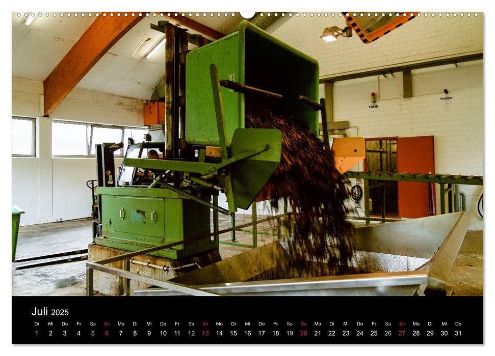 Das Jahr im Weinberg (CALVENDO Premium Wandkalender 2025)
