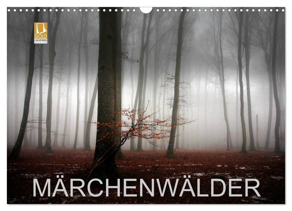 Märchenwälder (CALVENDO Wandkalender 2025)